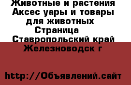 Животные и растения Аксесcуары и товары для животных - Страница 2 . Ставропольский край,Железноводск г.